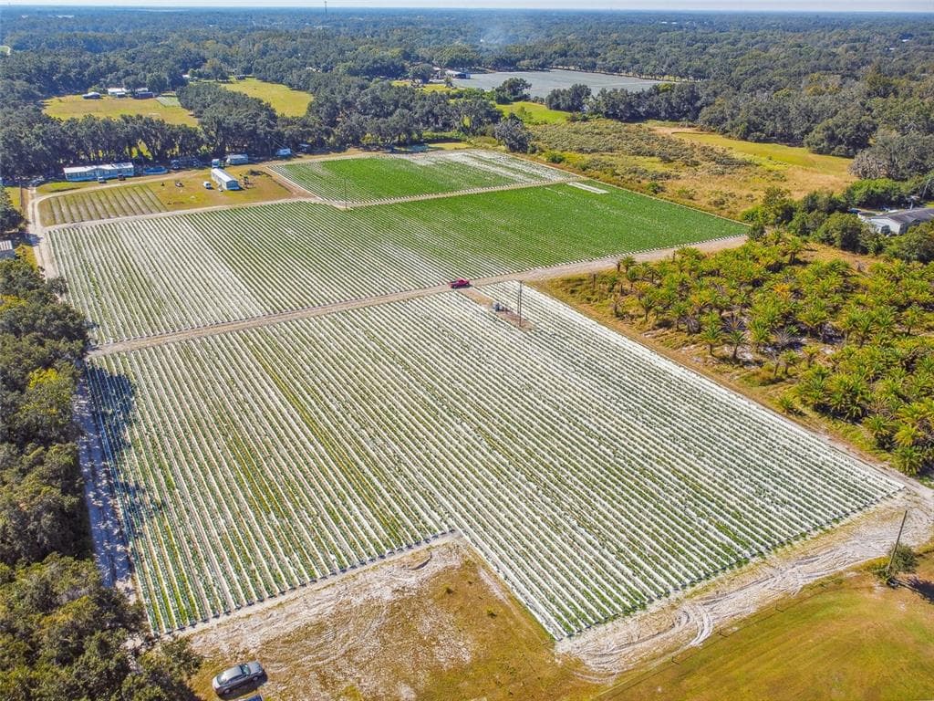 OSPREY VIEW LN PLANT CITY, FL 33566