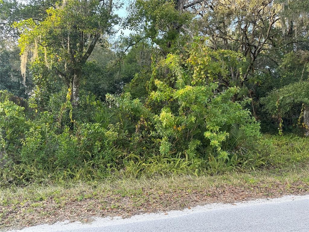 9723 JEROME DRIVE NEW PORT RICHEY, FL 34654