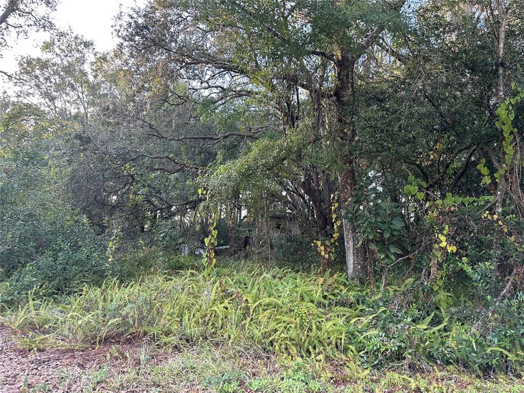 9731 JEROME DRIVE NEW PORT RICHEY, FL 34654