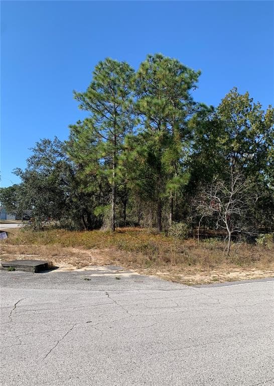 0 NORVELL ROAD SPRING HILL, FL 34608