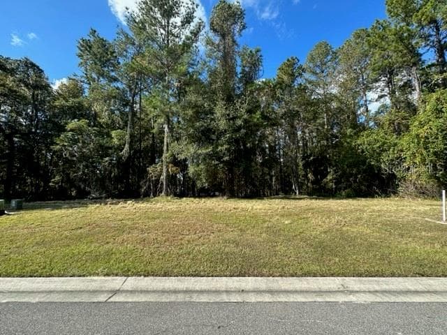 4729 MAJESTIC HILLS LOOP BROOKSVILLE, FL 34601