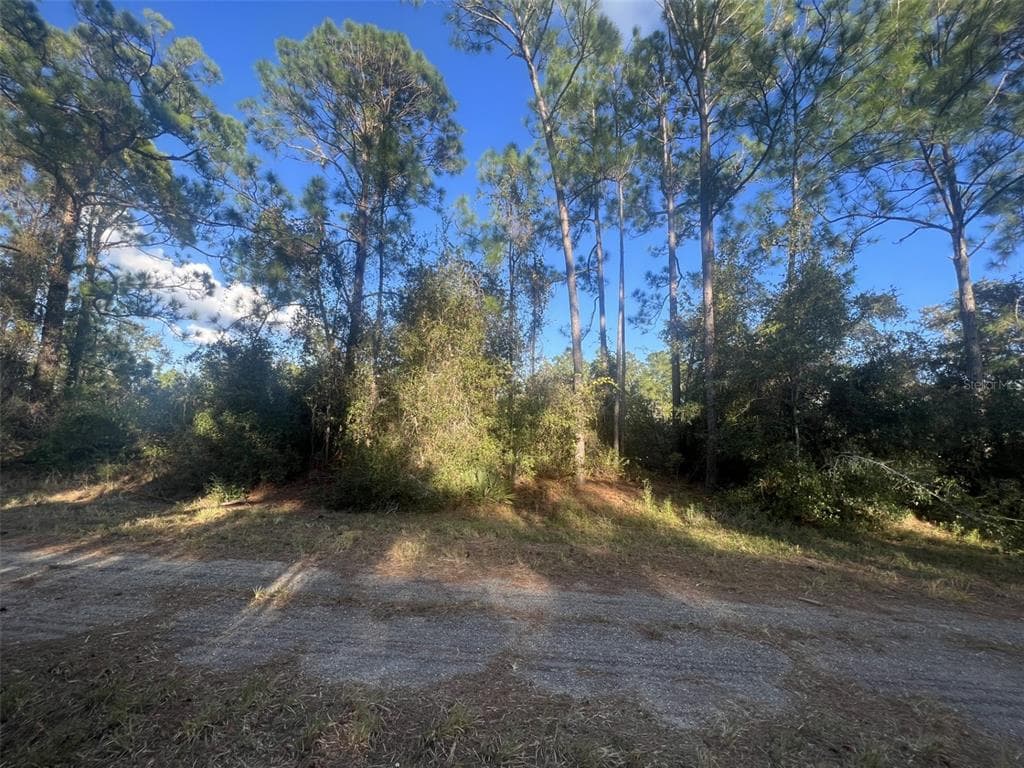 1053 ROBIN STREET LAKE PLACID, FL 33852