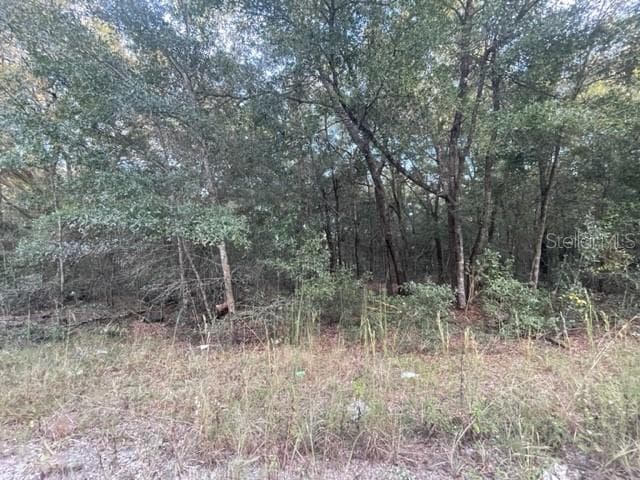 NW 56 AVENUE OCALA, FL 34482