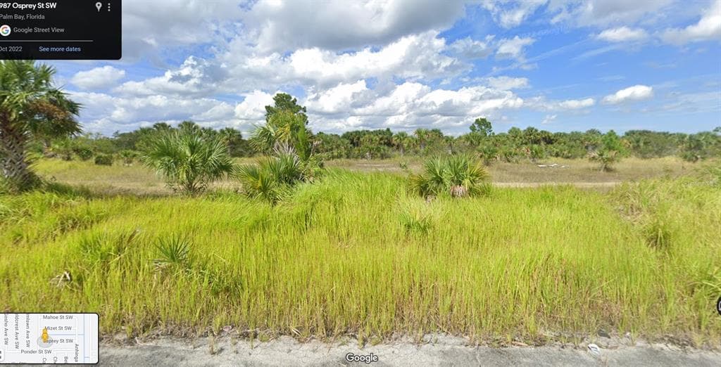 987 OSPREY STREET SW PALM BAY, FL 32908
