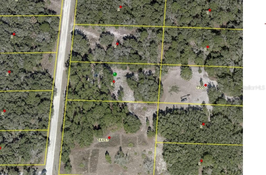 7306 GLENCHESTER DRIVE WEBSTER, FL 33597
