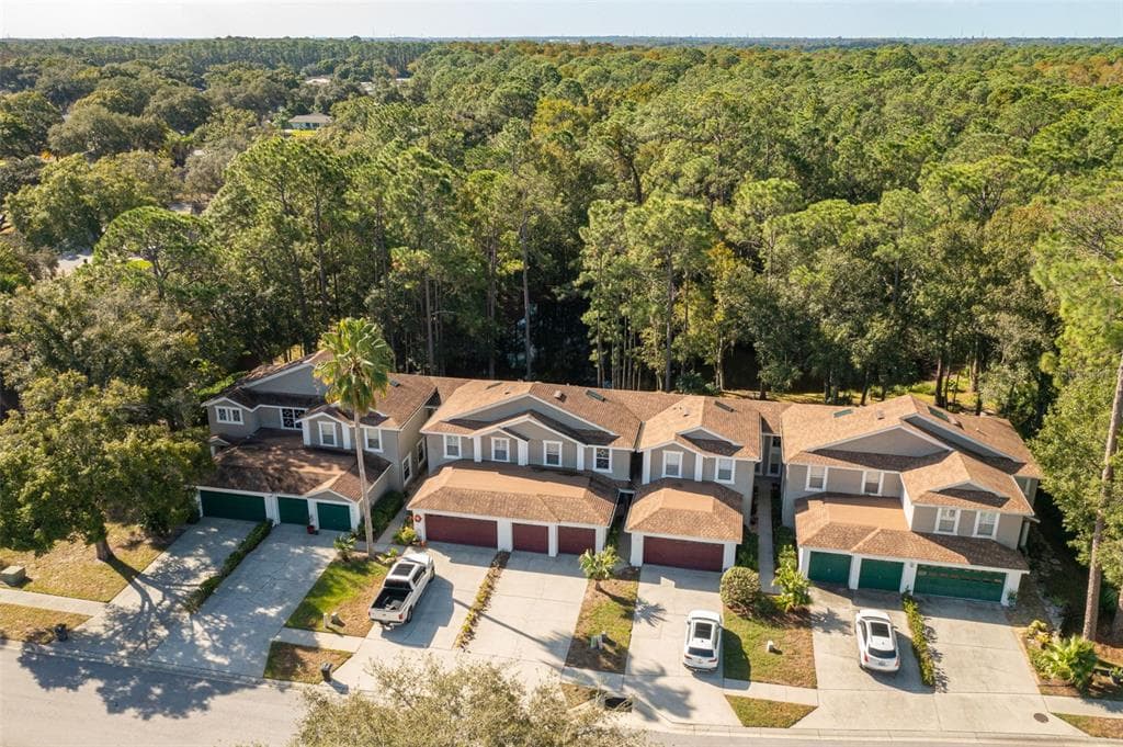 4348 BROOKER CREEK DRIVE PALM HARBOR, FL 34685