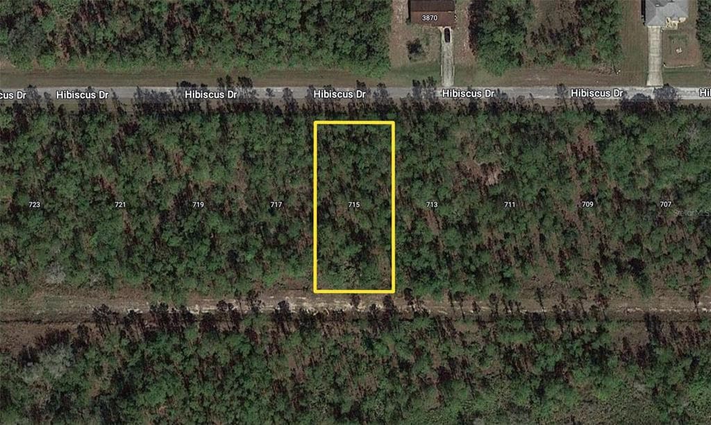 715 HIBISCUS DRIVE INDIAN LAKE ESTATES, FL 33855