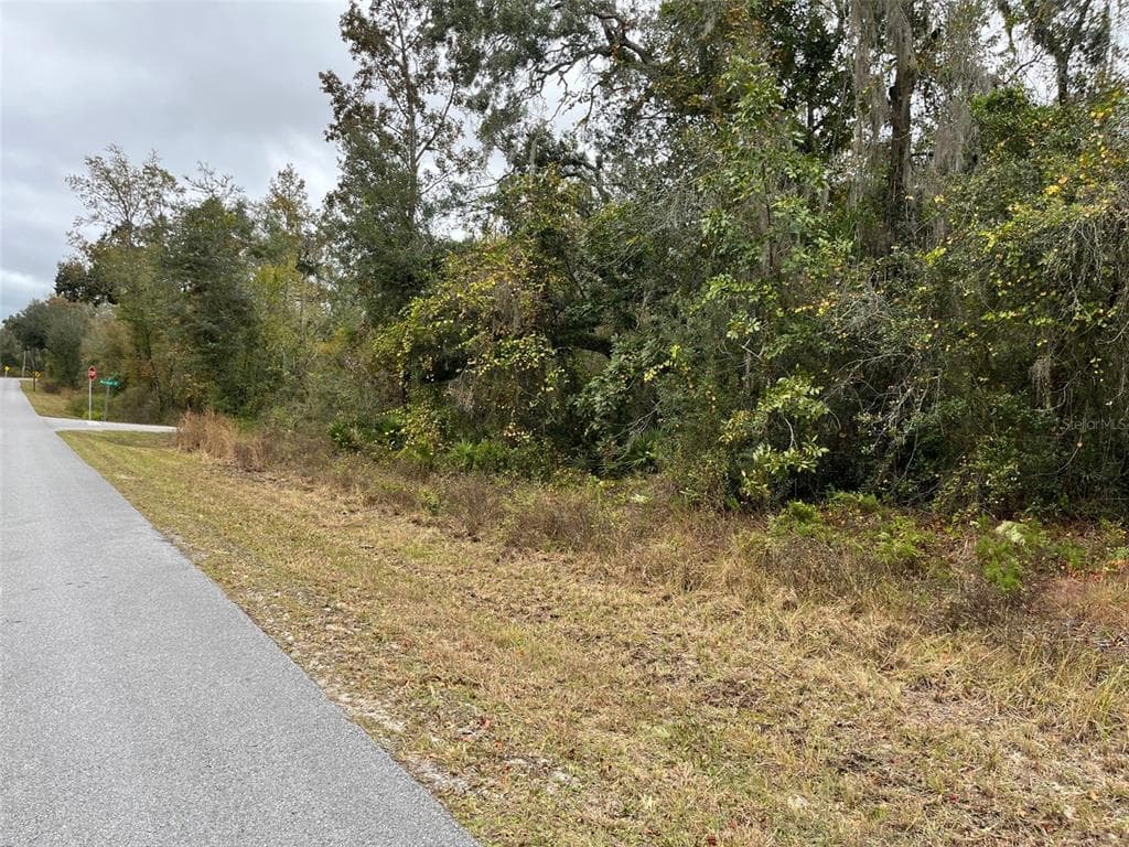 7338 N CANAL STREET WEBSTER, FL 33597
