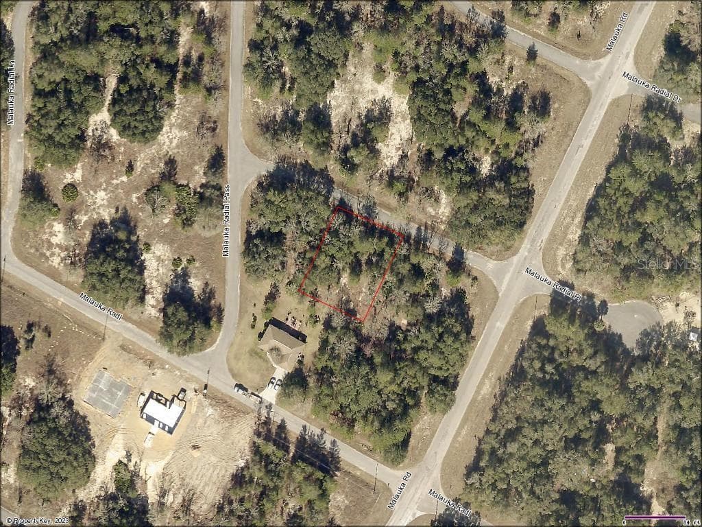 UNDETERMINED WEIRSDALE, FL, FL 32195