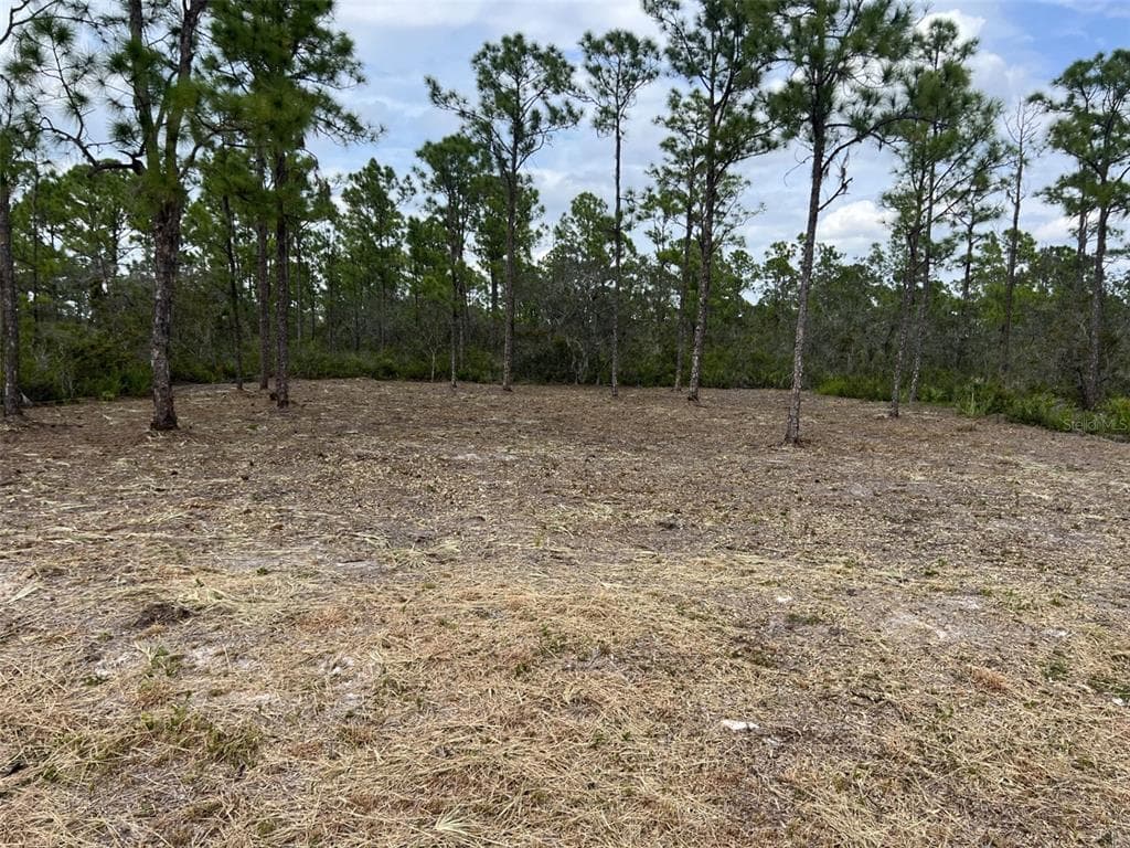 3623 FORREST POINT AVENUE LAKE PLACID, FL 33852