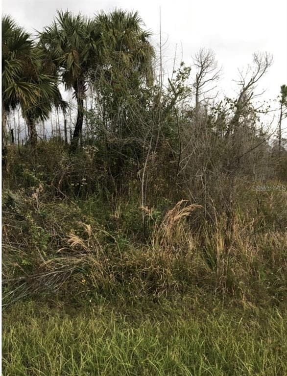 FARVIEW DRIVE NORTH PORT, FL 34288
