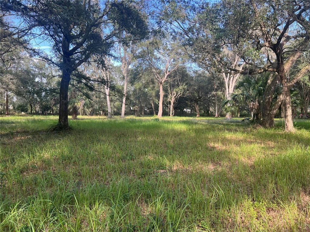 837 KNIGHTS GRIFFIN PLANT CITY, FL 33565