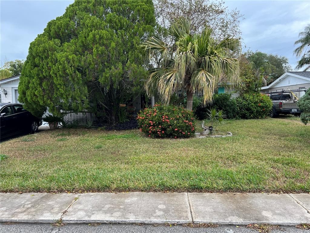3519 SEFFNER DRIVE HOLIDAY, FL 34691