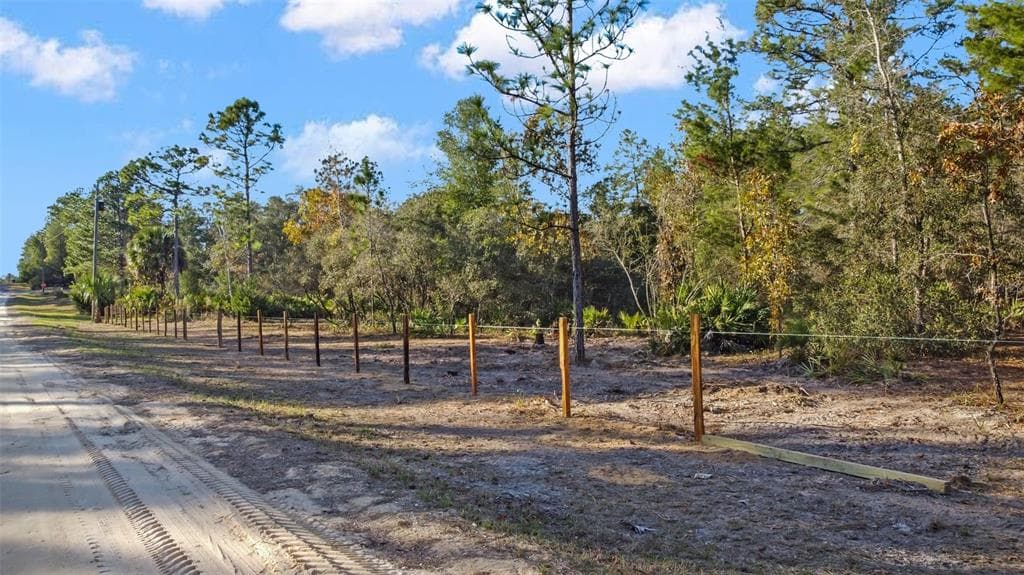 6033 W TIRANA LANE DUNNELLON, FL 34434