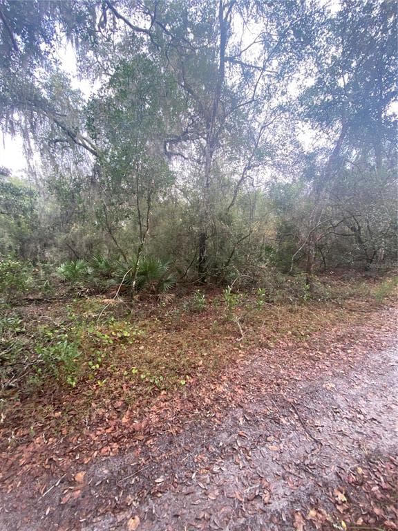 4225 S TAMARAK POINT INVERNESS, FL 34450