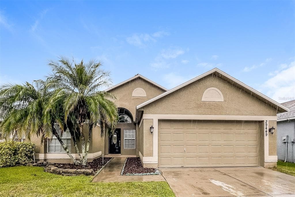 29449 TANSY PASS WESLEY CHAPEL, FL 33543
