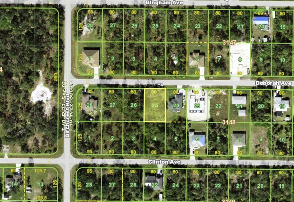 22033 DEBORAH AVENUE PORT CHARLOTTE, FL 33954