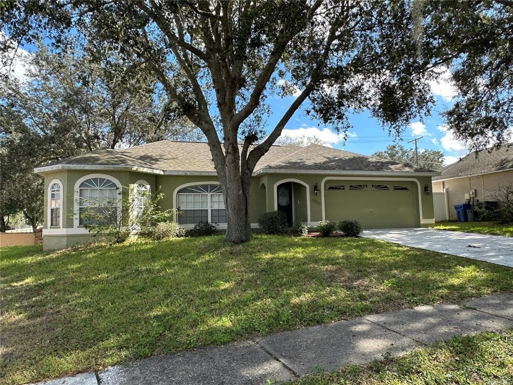 4205 AMBER RIDGE LANE VALRICO, FL 33594