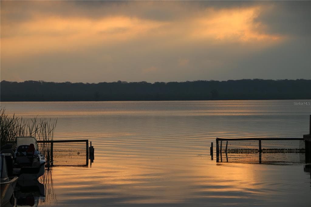 934 CR 461 LAKE PANASOFFKEE, FL 33538