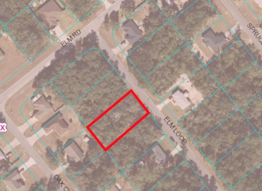 TBD ELM LOOP OCALA, FL 34472