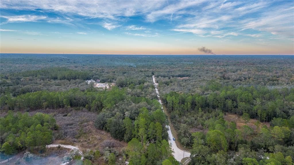 CHIMNEY ROCK DRIVE WEBSTER, FL 33597