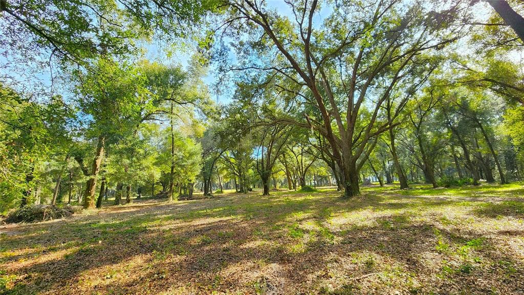 0 ELWOOD ROAD ZEPHYRHILLS, FL 33540