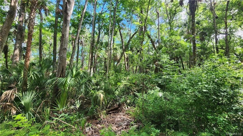 10092 W VIRGINIA STREET HOMOSASSA, FL 34448