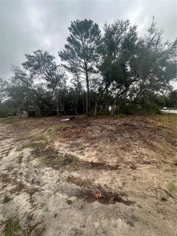 12135 TERRA CEIA AVENUE NEW PORT RICHEY, FL 34654