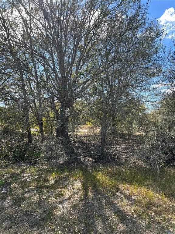 1010 S BRODIE ROAD AVON PARK, FL 33825