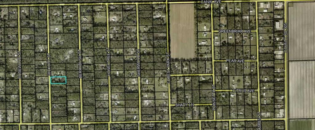 1311 HICKORY STREET BUNNELL, FL 32110