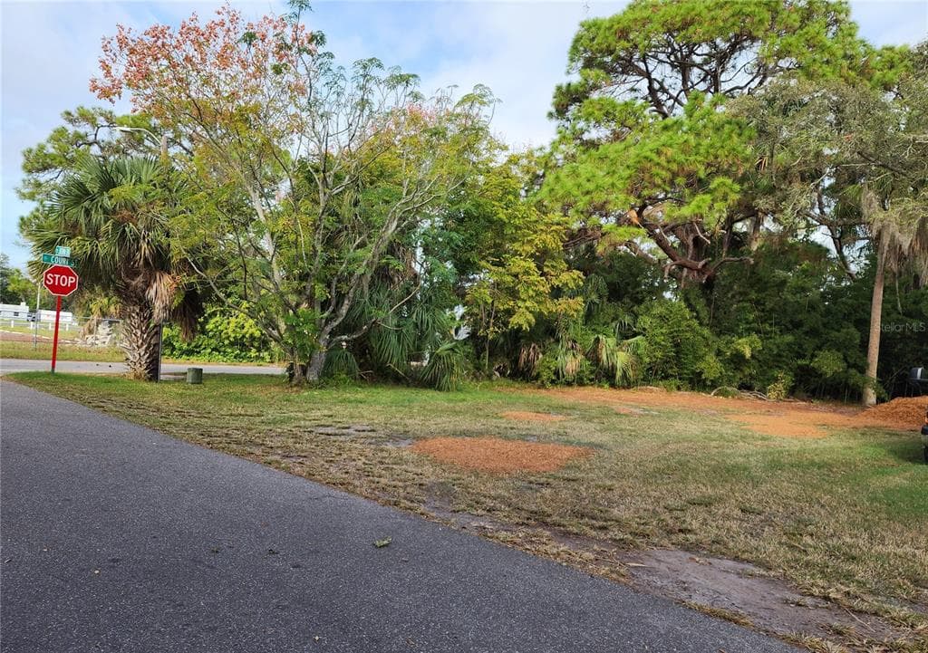 00 JASMIN NEW PORT RICHEY, FL 34654
