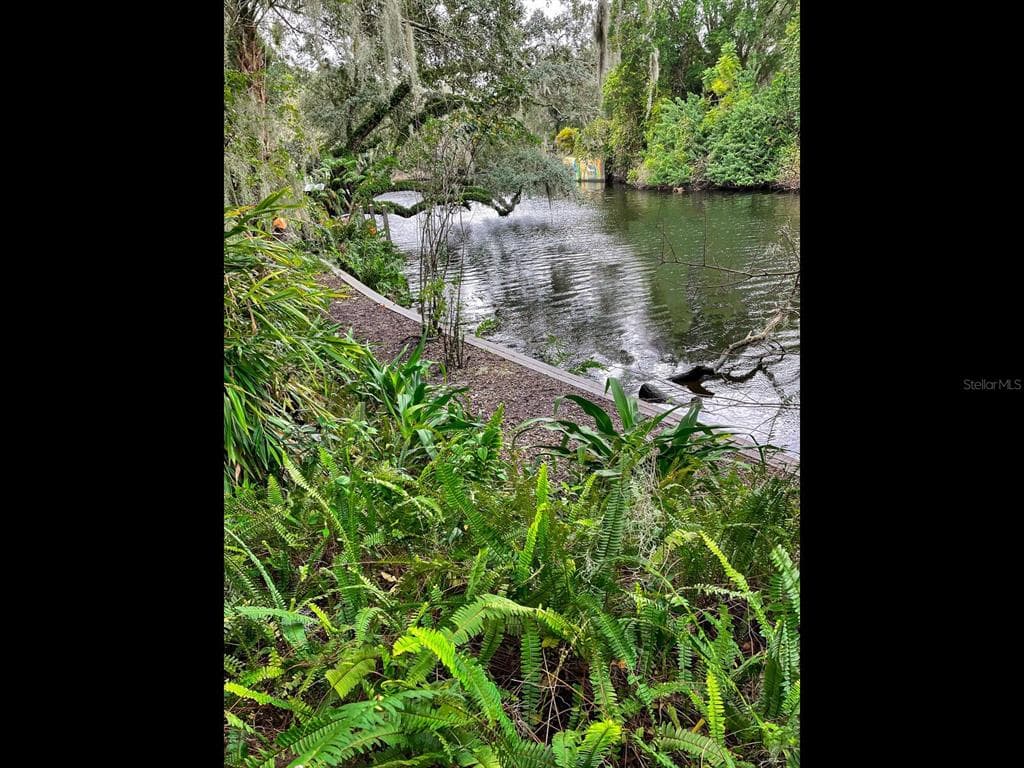1214 E PARK CIRCLE TAMPA, FL 33604
