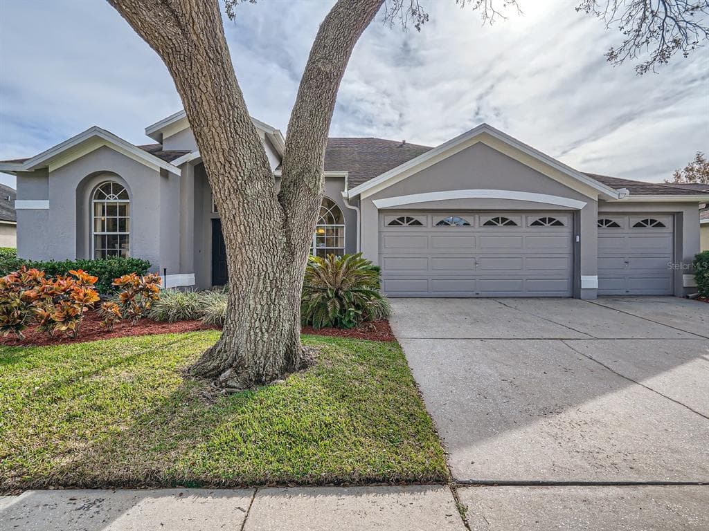 12404 ASHVILLE DRIVE TAMPA, FL 33626