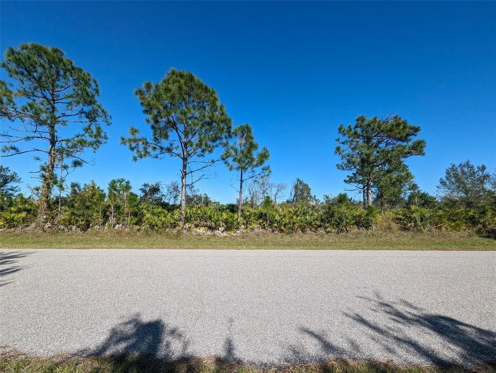 12184 MAYFAIR AVENUE PORT CHARLOTTE, FL 33981