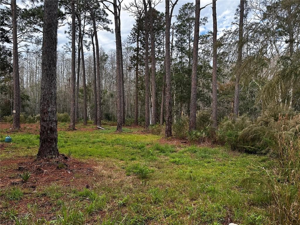 0 ELLIS STREET NEW PORT RICHEY, FL 34654