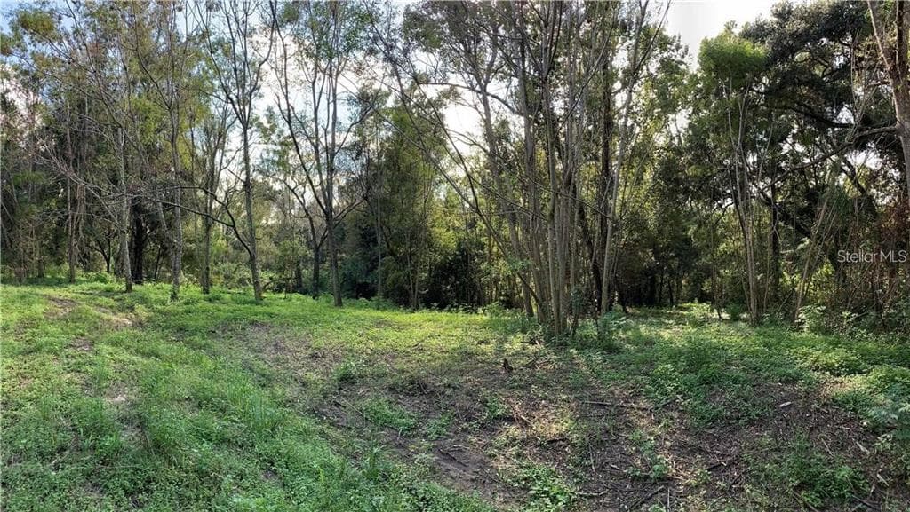 359 SAVANNAH OAKS DRIVE BROOKSVILLE, FL 34602
