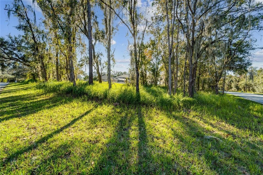 12505 LAKE HILLS DRIVE RIVERVIEW, FL 33569