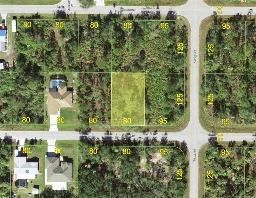22106 DEBORAH AVENUE PORT CHARLOTTE, FL 33954