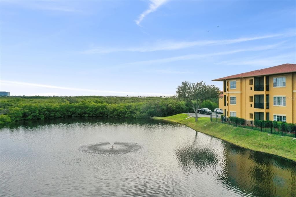 4345 BAYSIDE VILLAGE DRIVE UNIT 203 TAMPA, FL 33615