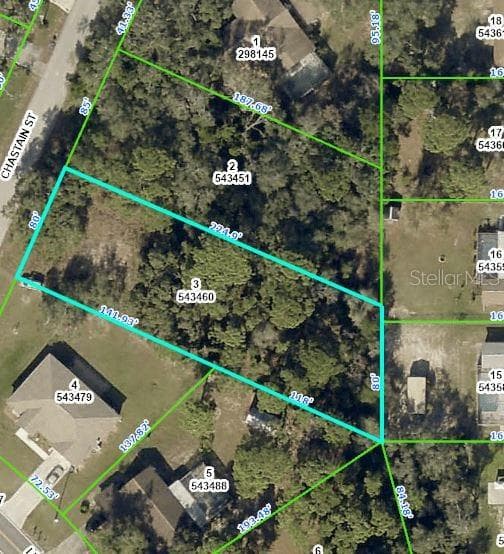 12210 CHASTAIN STREET SPRING HILL, FL 34609