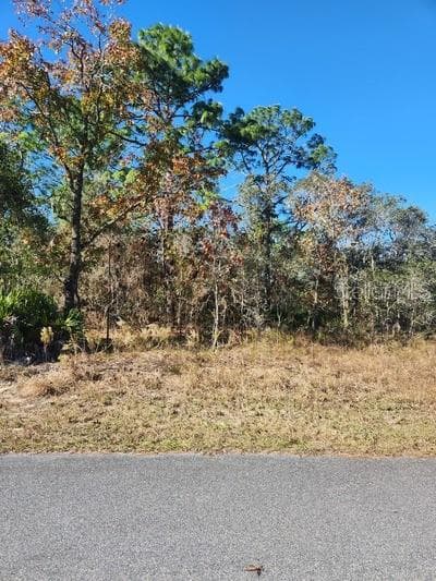 0 JAYWALK ROAD WEEKI WACHEE, FL 34614