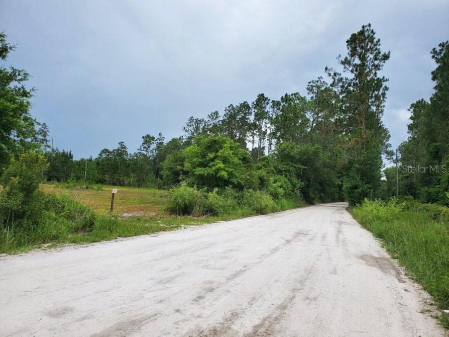 NE 73RD TERRACE CITRA, FL 32113