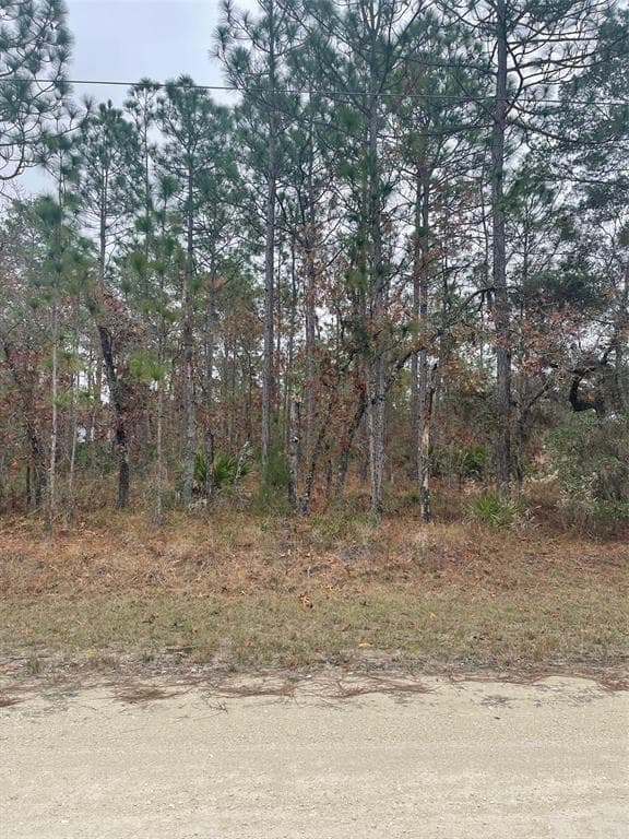 0 MACASSAR ROAD WEEKI WACHEE, FL 34614