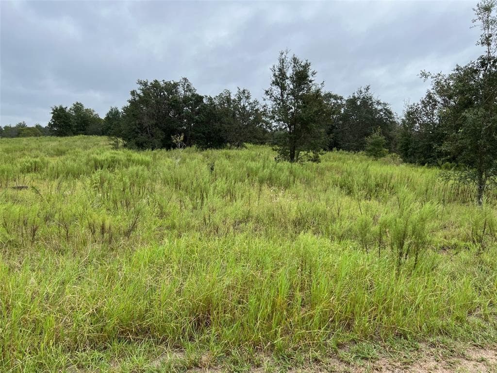 173 N LAVENDALE TERRACE INVERNESS, FL 34453