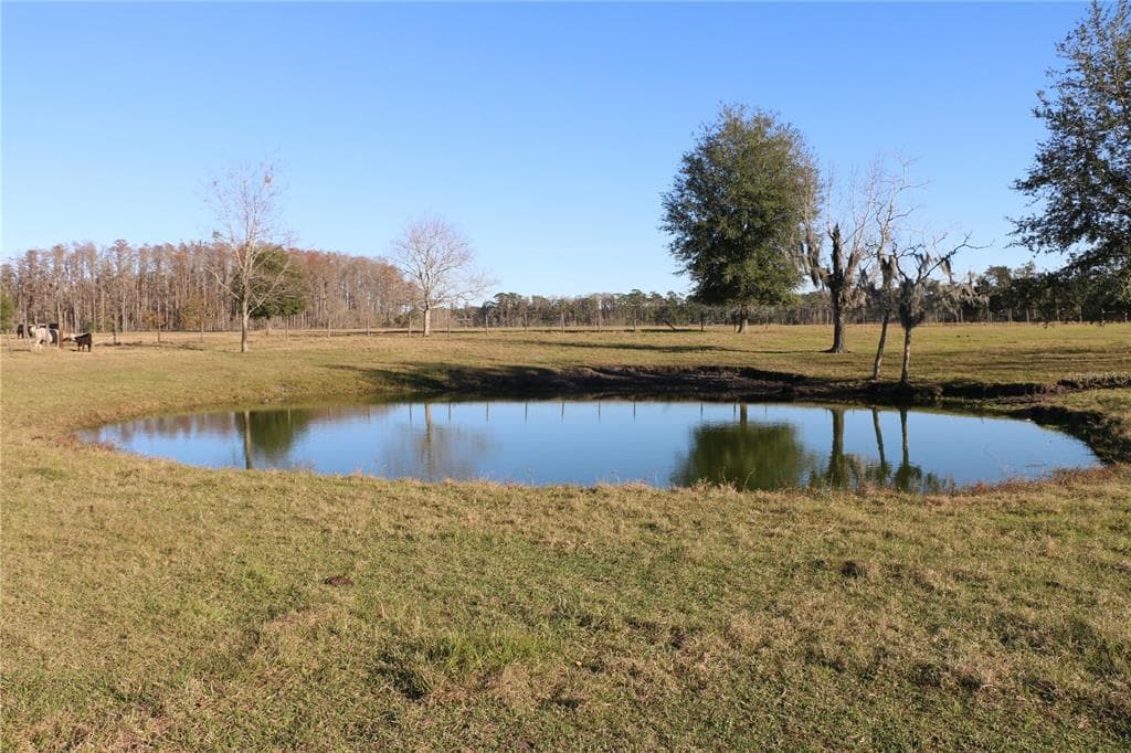 4922 MOUNT PLEASANT ROAD GROVELAND, FL 34736