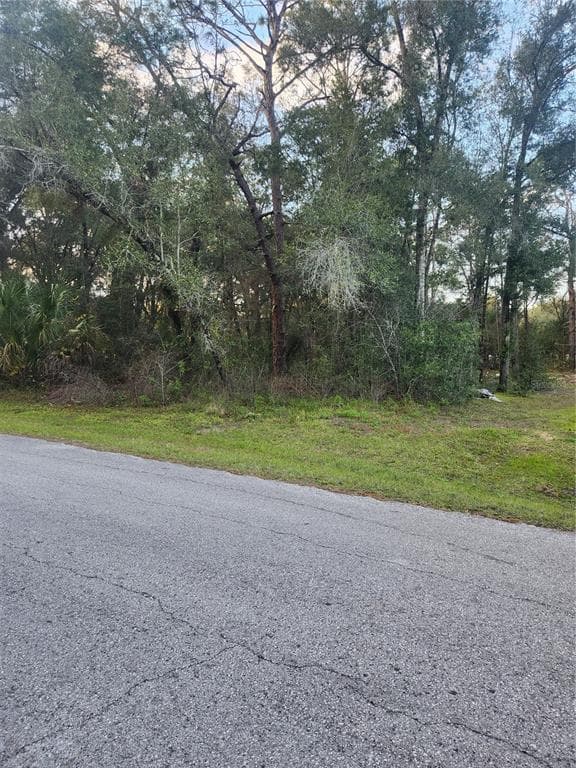 4029 E WALKER STREET INVERNESS, FL 34453