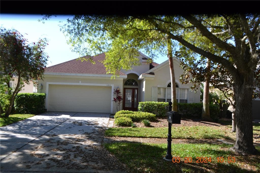 11610 WHITEROOK COURT TAMPA, FL 33626