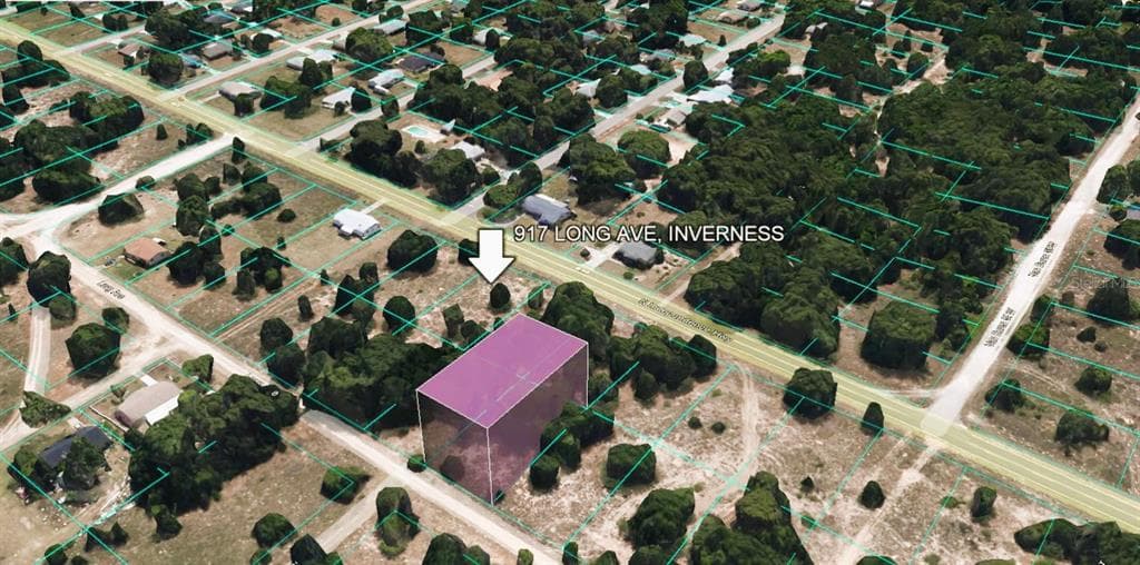 917 LONG AVENUE INVERNESS, FL 34453
