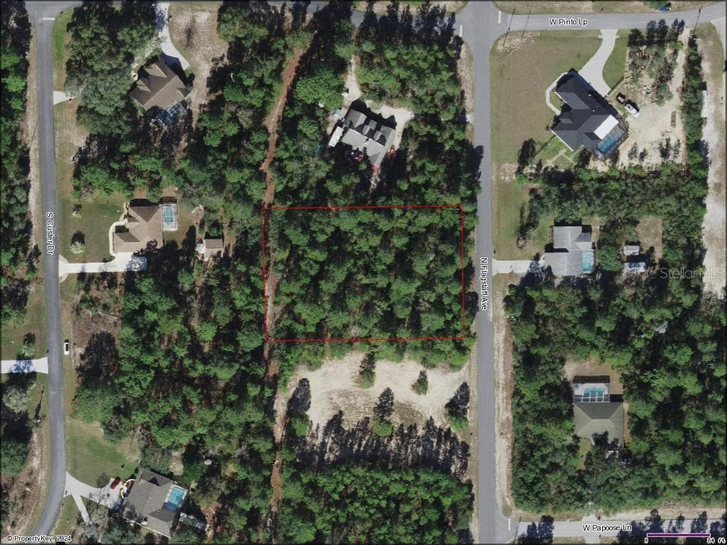 5542 N FLAGSTAFF AVENUE BEVERLY HILLS, FL 34465