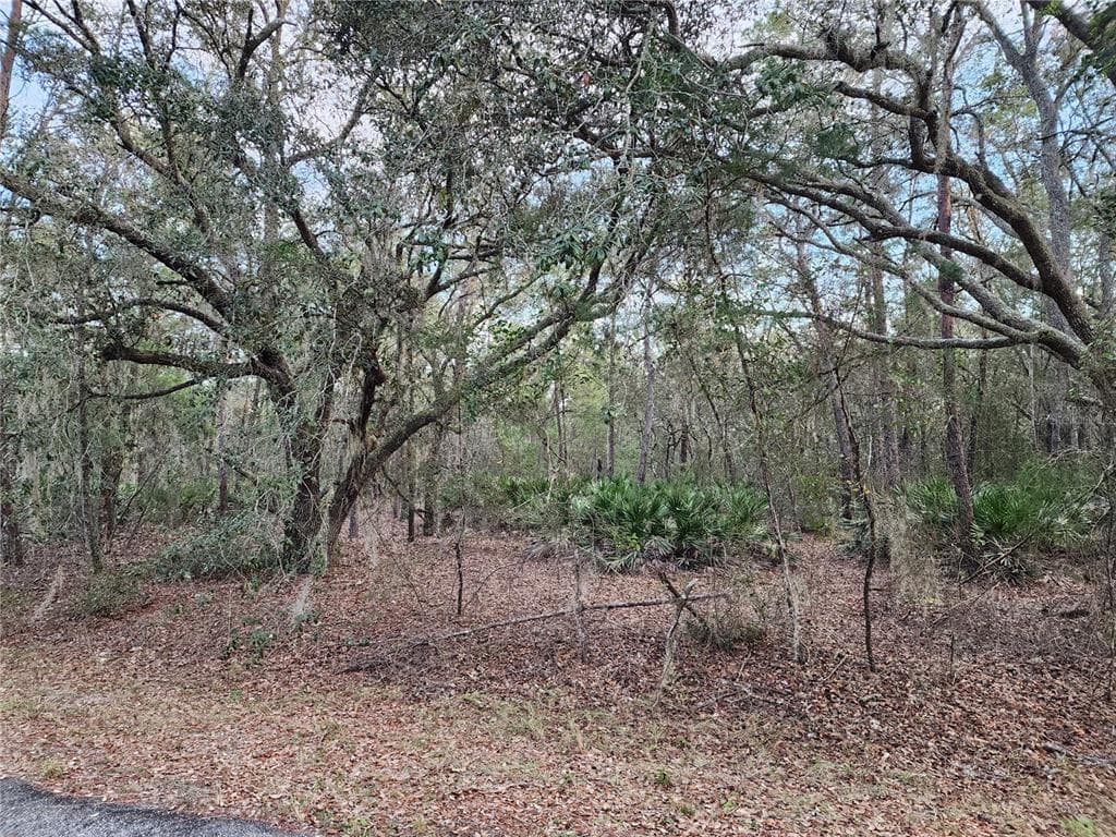 FISHER RUN COURSE COURSE OCKLAWAHA, FL 32179